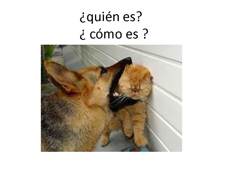 ¿quién es? ¿ cómo es ?